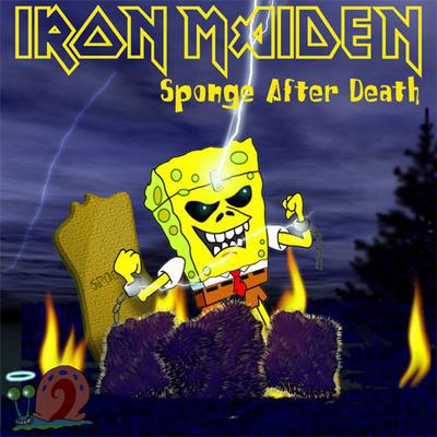 the sponge